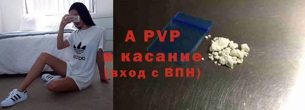 стафф Приозерск