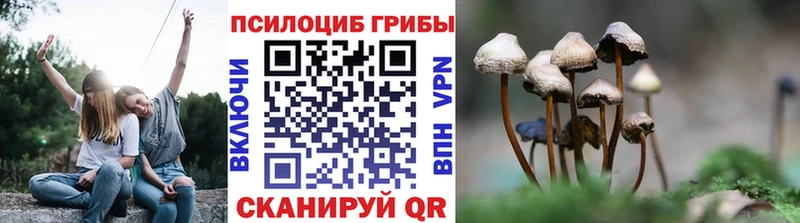 МЕГА онион  Уржум  Псилоцибиновые грибы ЛСД 